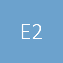 E.2 Project and Portfolio Management