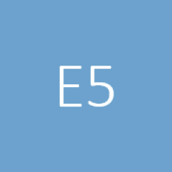 Logo E5 competentie