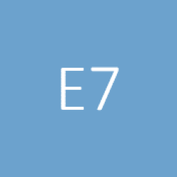 Logo E7 competentie