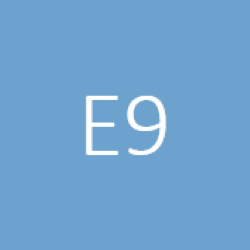 Logo E9 competentie